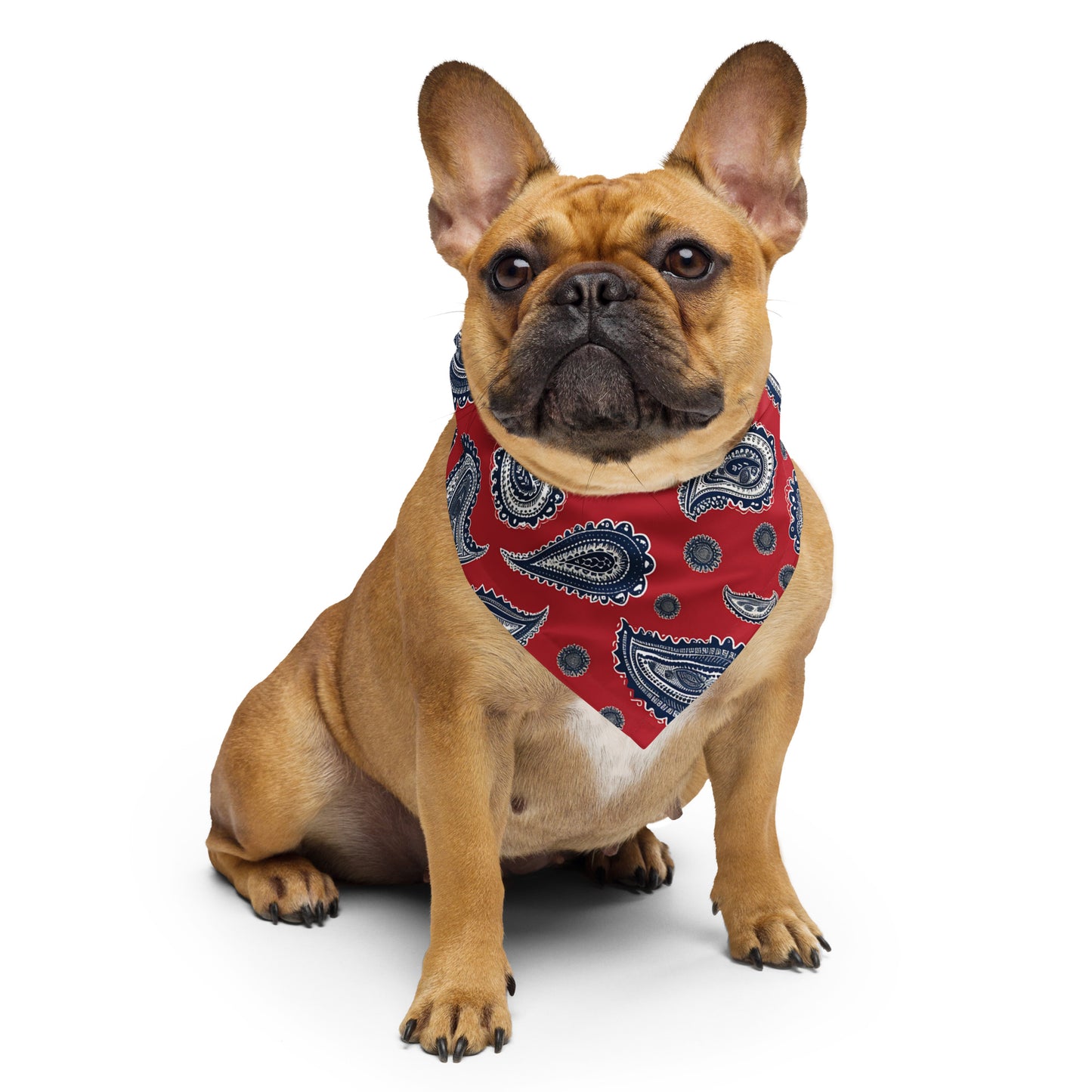 Bandana In Red Paisley Pattern